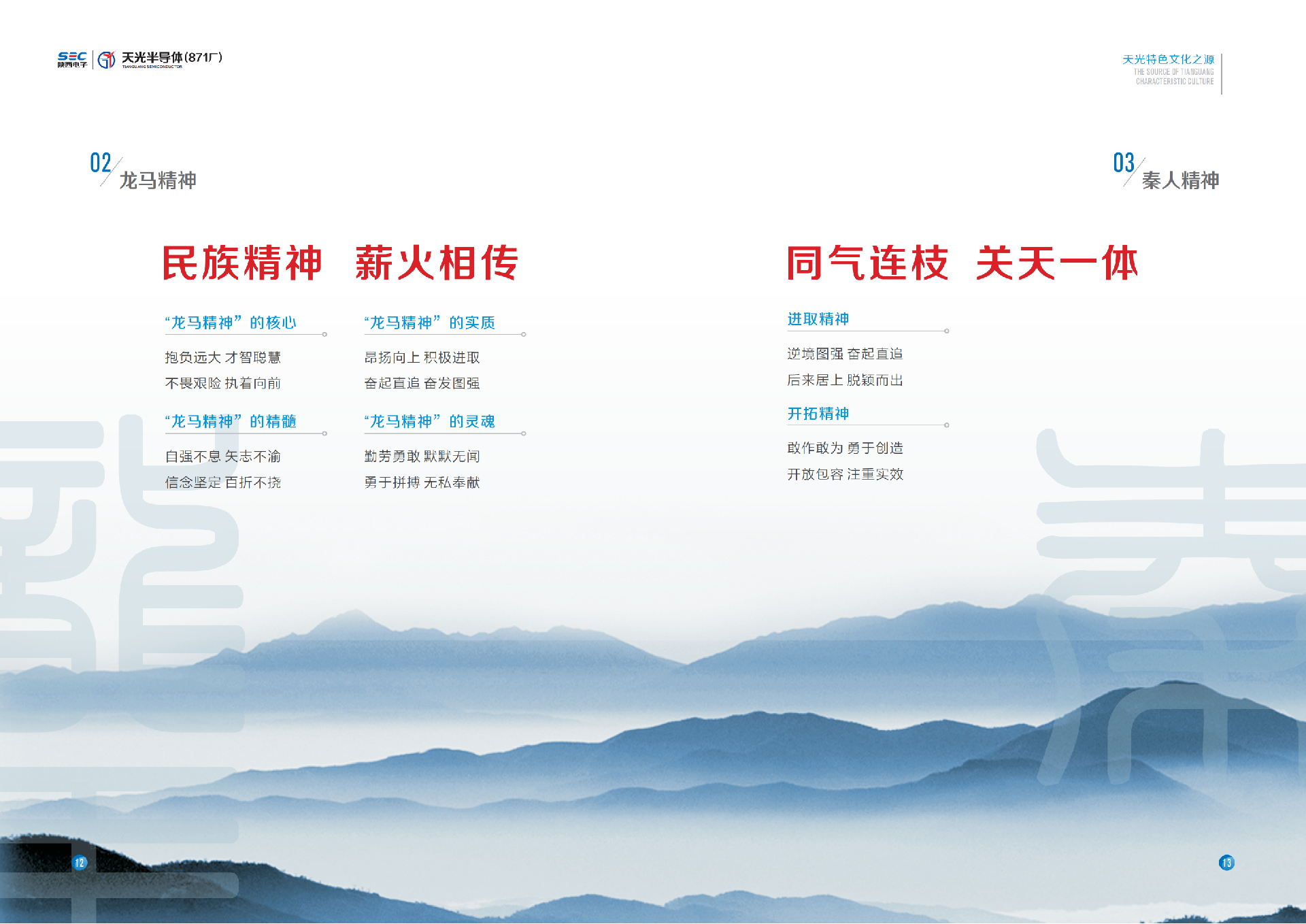 天光半導體企業(yè)文化手冊12.26_12.png